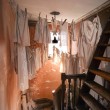 Dennis Severs Attic, Norton Folgate