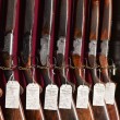 William Evans Gunshop, St James